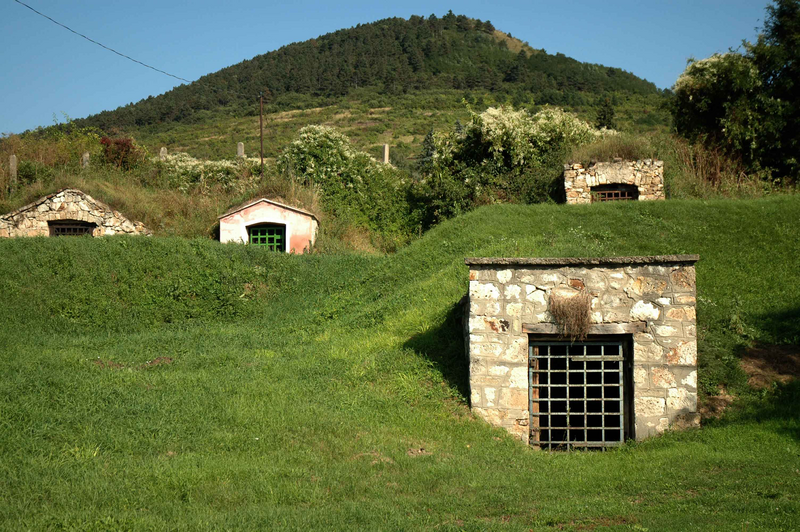 Weinkeller_Tokai_Wine Cellars